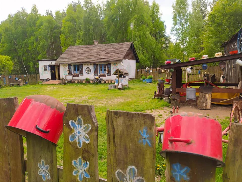Zagroda Zalipie Gostynin Extérieur photo
