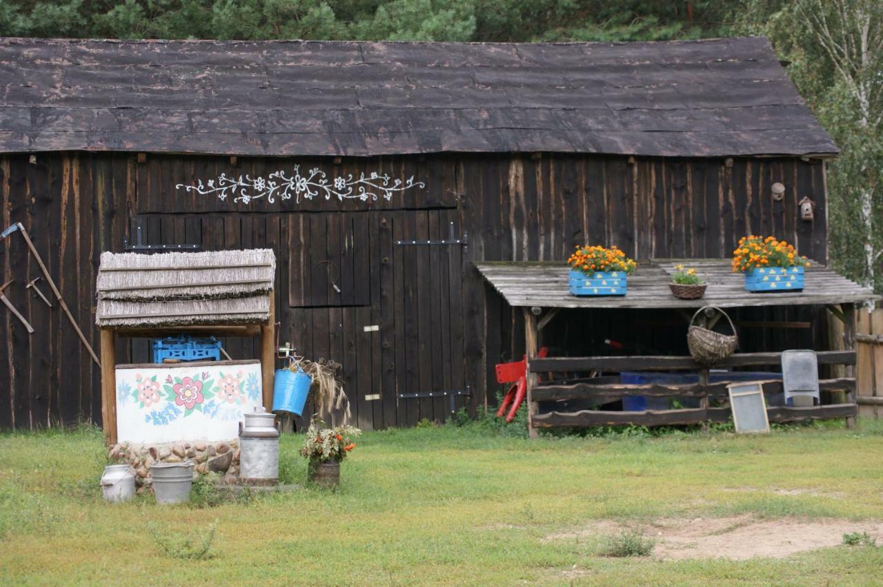 Zagroda Zalipie Gostynin Extérieur photo