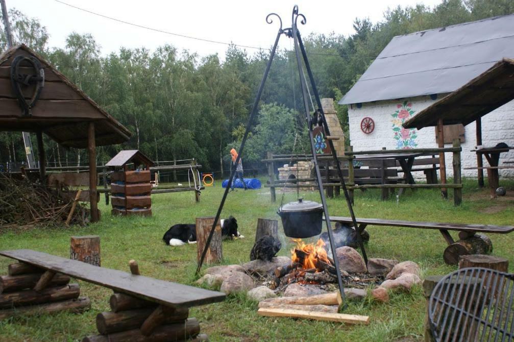 Zagroda Zalipie Gostynin Extérieur photo