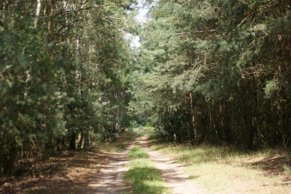 Zagroda Zalipie Gostynin Extérieur photo