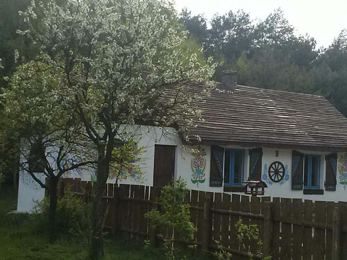 Zagroda Zalipie Gostynin Extérieur photo