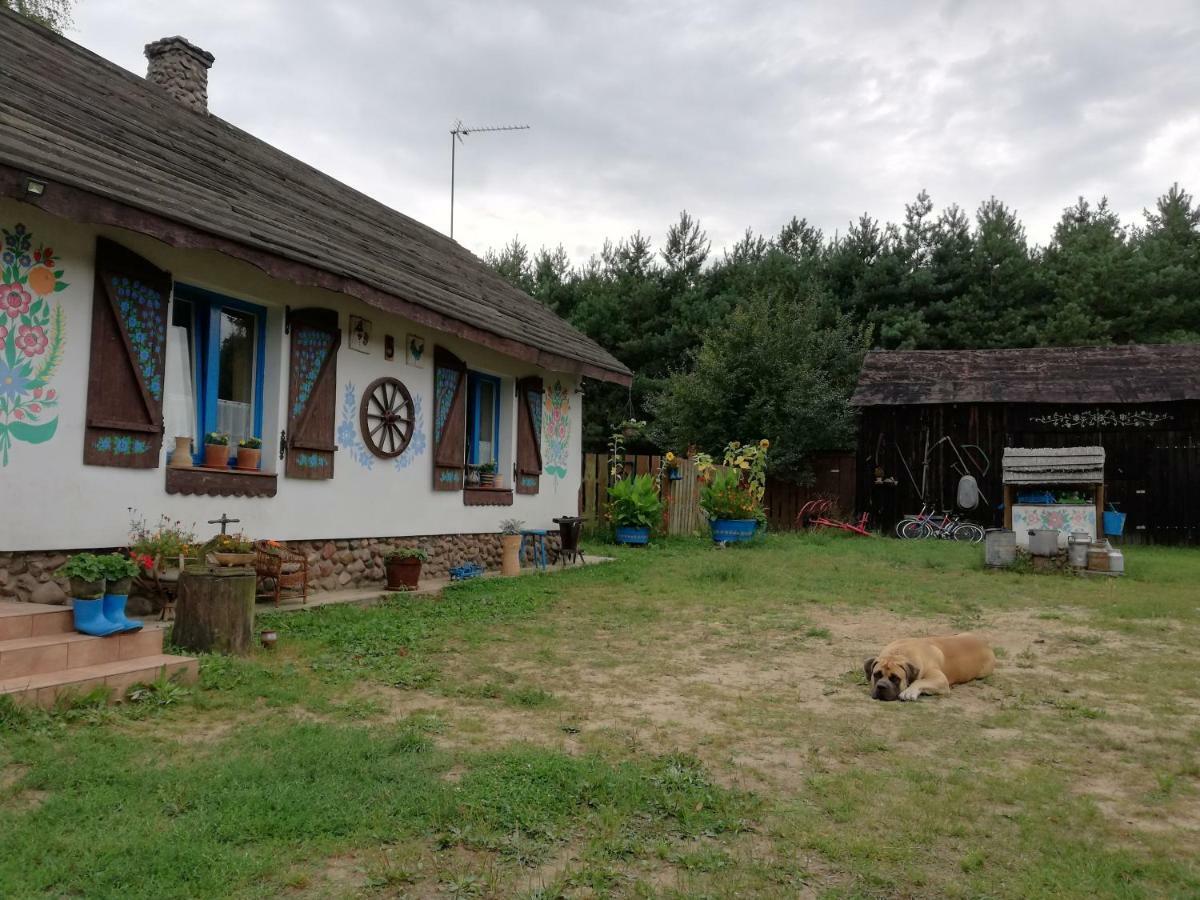 Zagroda Zalipie Gostynin Extérieur photo