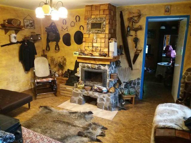 Zagroda Zalipie Gostynin Extérieur photo