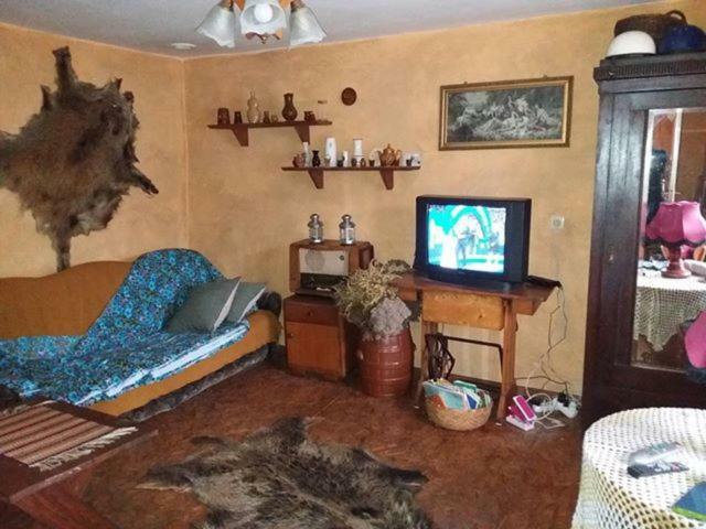Zagroda Zalipie Gostynin Extérieur photo