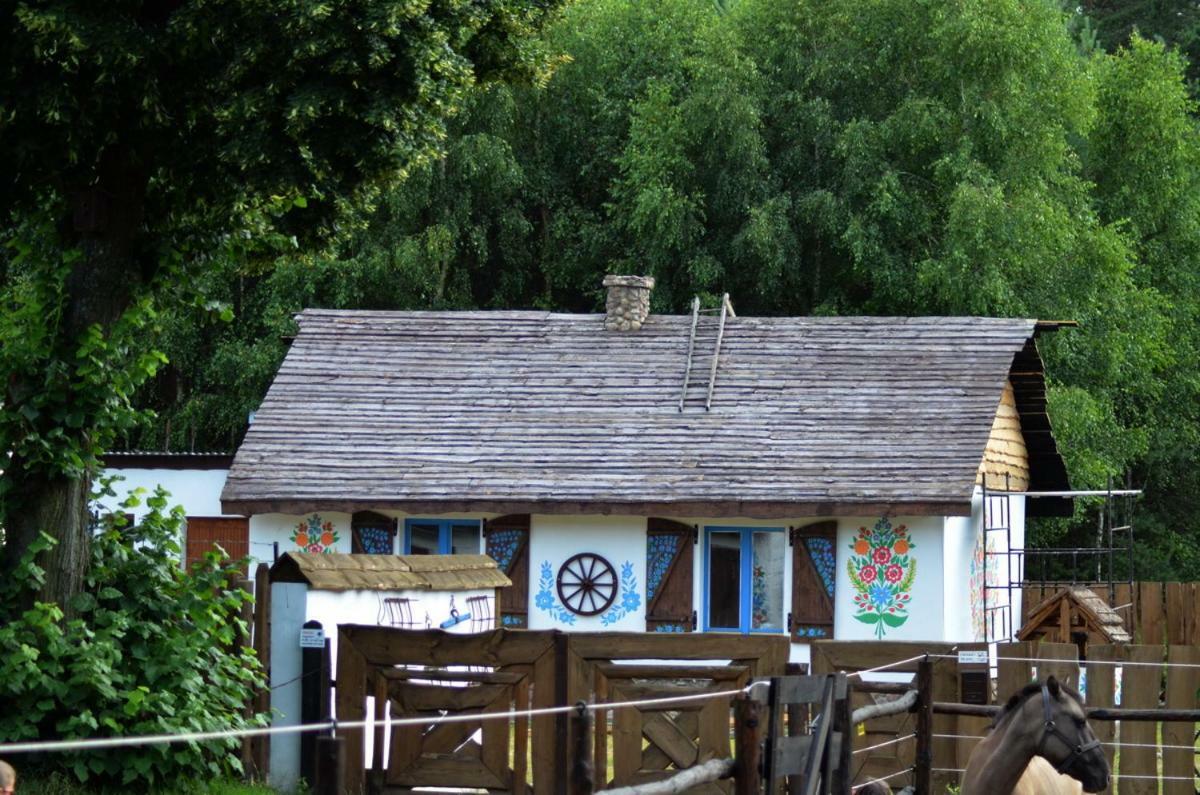 Zagroda Zalipie Gostynin Extérieur photo