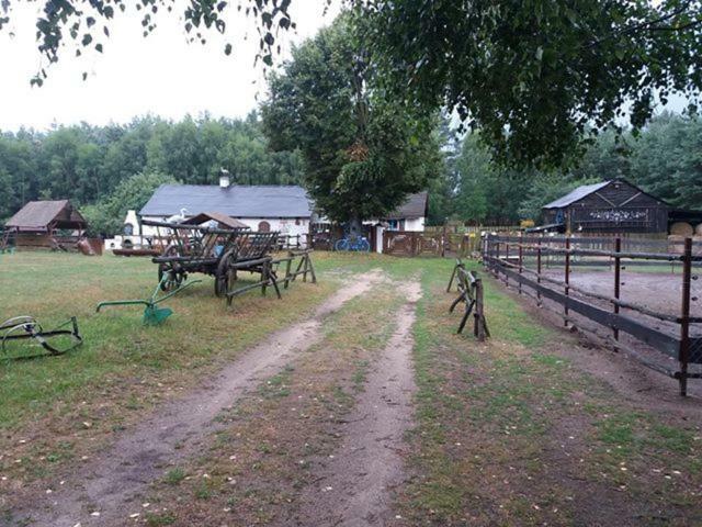 Zagroda Zalipie Gostynin Extérieur photo